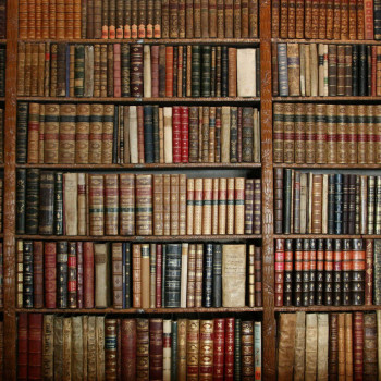 Книжная полка